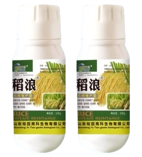 稻浪